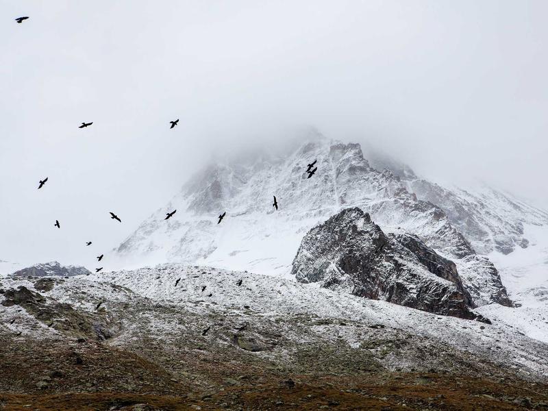 android screenshot 6